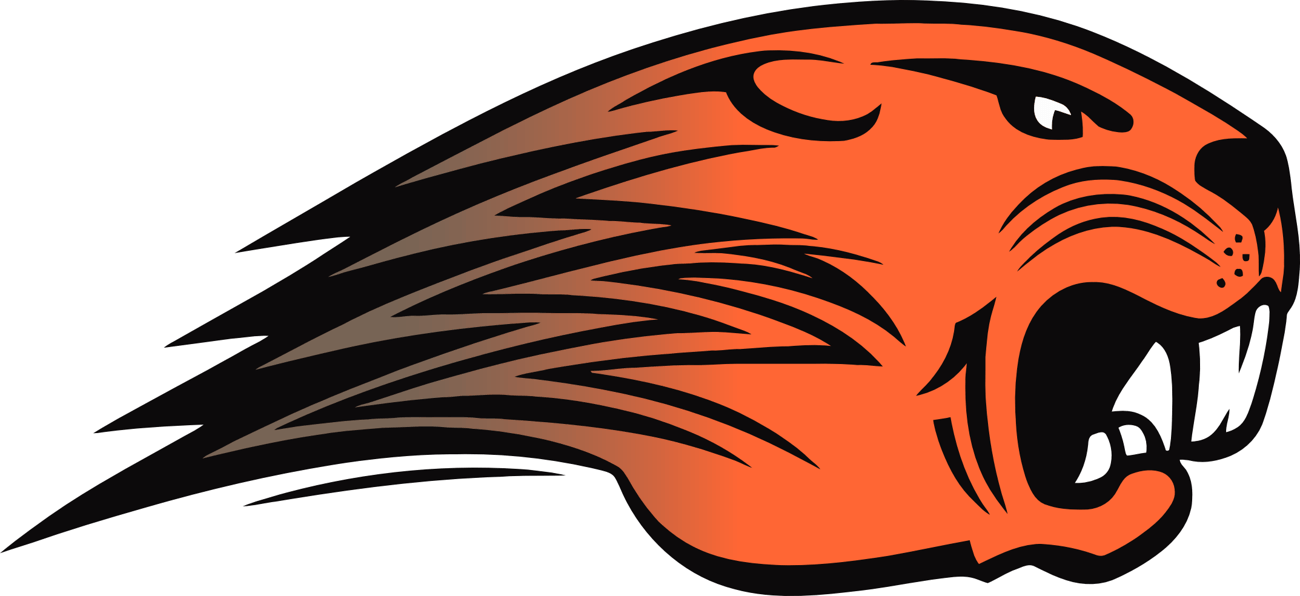 Orange and black print-ready vector of a snarling wildcat head